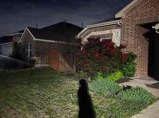 Bush Trimming by Tyrek Tilton for Karli M. in Crandall, TX