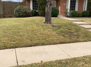 Cleanups by Pablo Miramontes for Sheldon H. in Rowlett, TX