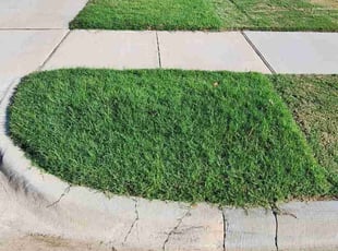 Uvbi D.'s Lawn Care service result