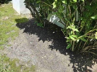 Jipi S.'s Flower Bed Weeding service result