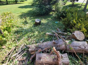 Weeding by Paul Norman for Sean H. in Charlotte, NC
