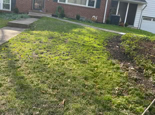 Leaf Removal by Susy Mia Nieto for Ashley T. in Newark, DE