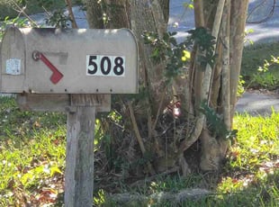 Leaf Removal by Dan Young & Renee Farmer Young's Lawn Care for Tammie C. in Longwood, FL