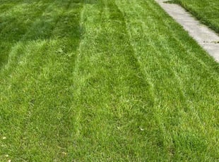 Marita B.'s Lawn Maintenance service result