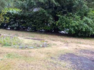 Cleanups by John Bouis for Wendy Z. in Bellevue, WA