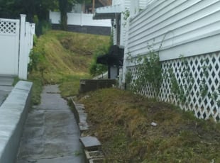 Nicole S.'s Cleanups service result