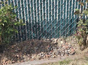 Weeding by Kayleigh Kelly for Susan P. in Spokane Valley, WA