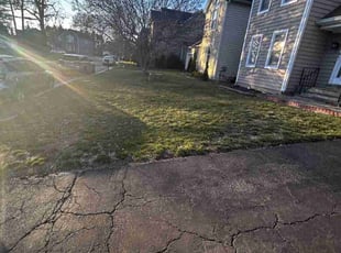 Leaf Removal by Curtis Holloway for Lesha C. in Burtonsville, MD