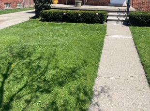 Bush Trimming by Eric Pharms for Terronica L. in Eastpointe, MI