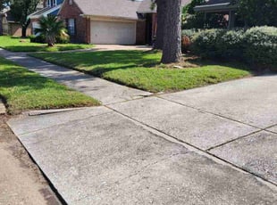 James R.'s Lawn Mowing Service service result