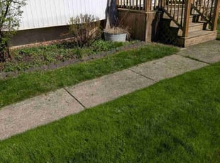 Bush Trimming by Rodney Dockery for Ejaz H. in Buffalo, NY