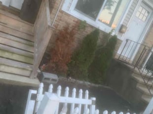 Bush Trimming by Eric Daniels for Ed C. in Bridgeport, CT