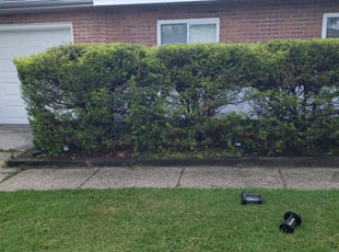 Bush Trimming by Jamil Hafeeza for Eric O. in Glendora, NJ