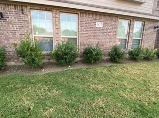 Weeding by Renair White for Melissa A. in Arlington, TX