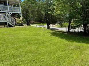 Jazmine B.'s Lawn Service service result