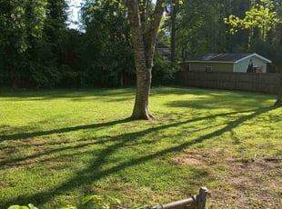 Jessica B.'s Lawn Care service result