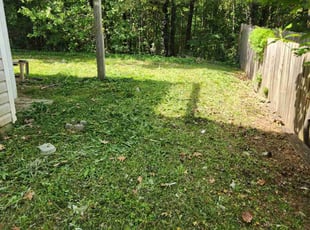 Cleanups by Carlos Wright for Jack B. in Loganville, GA