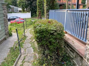 Bush Trimming by Norberto Soto for Johanna J. in Philadelphia, PA