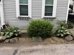Weeding by Demetrius Bennett Jr for Emily M. in Cleveland, OH