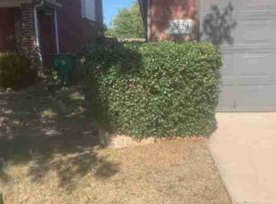 Bush Trimming by Avery Cain for Lamont H. in Cross Roads, TX