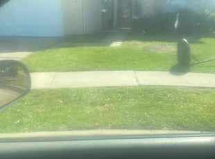 Yusuf Y.'s Lawn Mowing service result