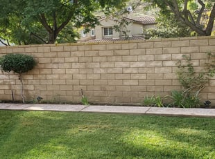 Bush Trimming by Ian Moreland for Claire S. in San Diego, CA