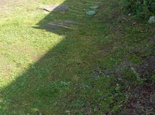 Weeding by Robert Marsico for Chris G. in Camas, WA