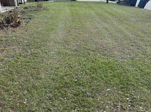 Melody S.'s Lawn Service service result