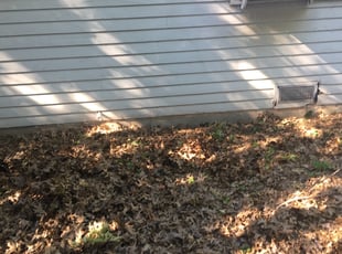 Bush Trimming by Isaac Porras for James B. in Del City, OK