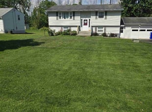 Ms. P.'s Lawn Care service result