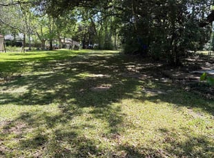 Leaf Removal by Jerry Wells for Ellery R. in Baton Rouge, LA