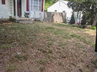 Leaf Removal by Joshua Richmond for Terrel C. in Greensboro, NC