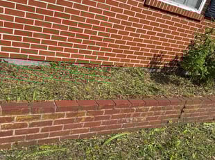 Weeding by Makenly Stainles for Angela G. in Jacksonville, FL