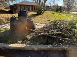 Leaf Removal by Osmin Salvador for Matt R. in Garland, TX