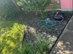 Weeding by Adrian Gallardo for Kimberly H. in Mesquite, TX