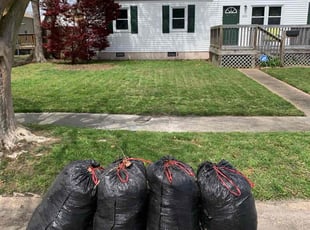 Cleanups by Clinton Peet for Sharease T. in Norfolk, VA
