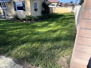 Derek L.'s Lawn Mowing service result