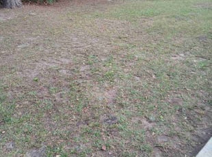 Leaf Removal by Ronald i know Butler for Phil P. in North Charleston, SC