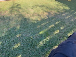Leaf Removal by Andree Dualan for Sabrina W. in Virginia Beach, VA