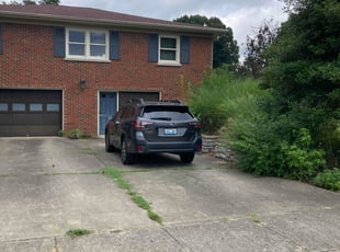 Henrietta L.'s Bush Trimming service result