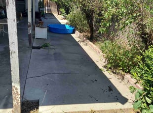 Dylan G.'s Cleanups service result