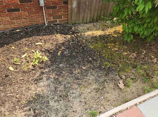 Leaf Removal by Derrick Rahiem Jerman for Durand I. in Wenonah, NJ