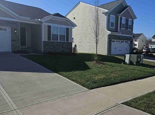 Michele P.'s Lawn Mowing service result