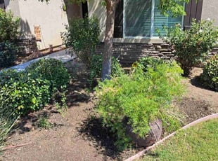 Cleanups by Daisy Guillen-Ramos for Brittany D. in Bakersfield, CA