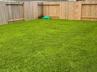 Dana C.'s Lawn Service service result