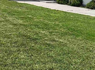Jim C.'s Lawn Mowing service result