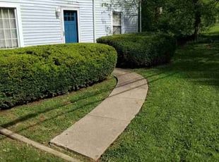 Bush Trimming by Jaden Benn for Susana A. in La Grange, KY