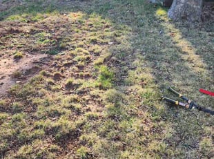 Leaf Removal by Porfirio Jimenez for Brook P. in Manassas, VA