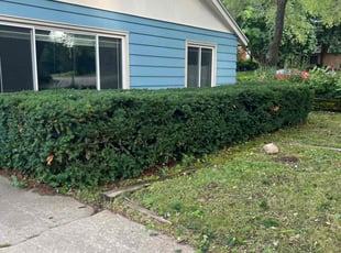 Bush Trimming by Eric Murphy for Mary Ann F. in Madison, WI