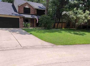 Sylvia S.'s Lawn Service service result